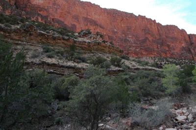 Butchart's cave in the Tapeats