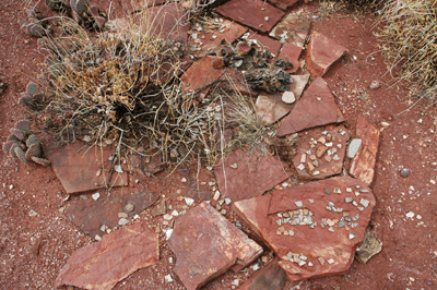 Pottery sherds