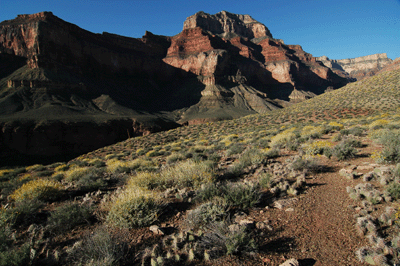 Entering Slate Canyon