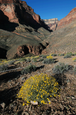 Looking up canyon towards the head of Slate