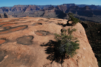 A small slab of Esplanade sandstone below Yuma Point