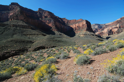 Entering Turquoise Canyon