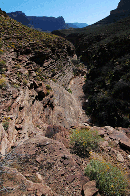 Looking downstream from the trail crossing in Turquoise