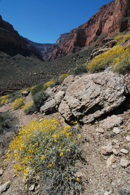 Entering Sapphire Canyon