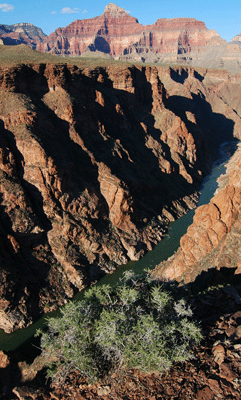 Looking upstream along the Colorado with Confucius Temple seen in the distance