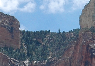 The area where the Lost Orpan Mine head frame once stood, as seen on June 6, 2009