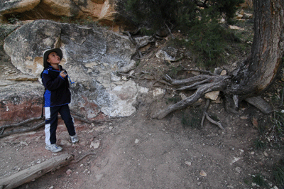 Stopping to admire a tree in the Kaibab