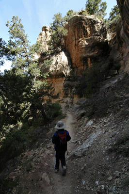 Approaching the Coconino