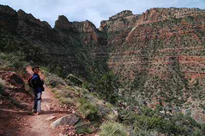 Hiking up the Grandview through Cottonwood Canyon