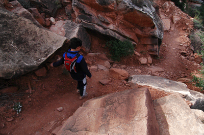 The up & down Grandview Trail