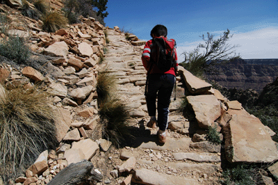 Continuing the Coconino ascent