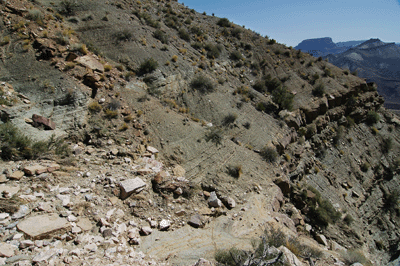 The Nankoweap Trail angles through the Muav