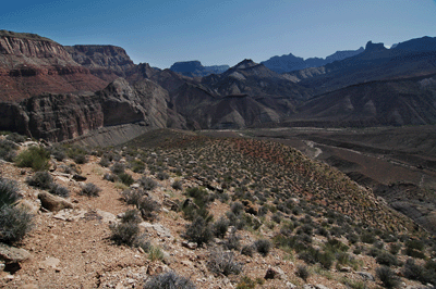 Drawing nearer the bed of Nankoweap Canyon