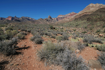 Hiking across the flats on Nankoweap Trail