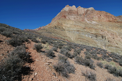 Between the Tapeats and Muav on Nankoweap Trail