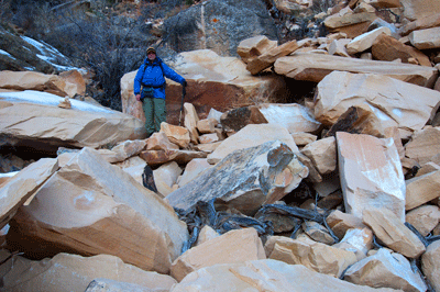 Dennis comes down the Coconino steps on Tanner trail