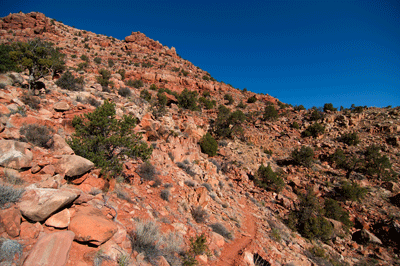 Escalante Butte viewed from Tanner trail