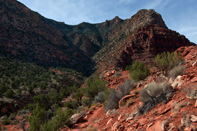 A view through upper Tanner Canyon, where Tanner trail ascends to the South Rim