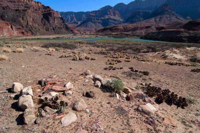 A view to across the Colorado from a ruin site at Basalt