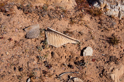 A large pot sherd at Basalt