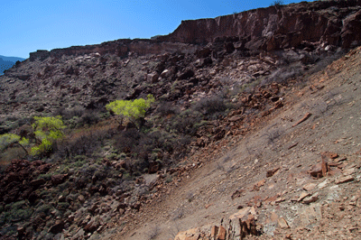 A view into the Basalt Canyon drainage from the Super Group ledges