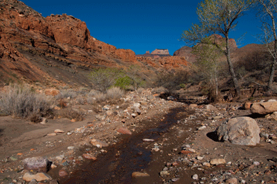 A view to the northwest up Lava Canyon with Siegfried Pyre seen in the distance