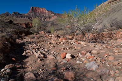 Looking southwest through Lava Canyon toward a distant unnamed butte