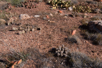 A possible room outline in Lava Canyon