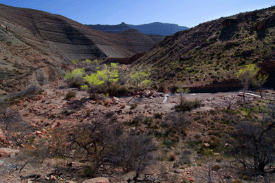 A view into Lava Canyon