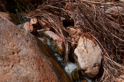 The source spring for Lava Creek