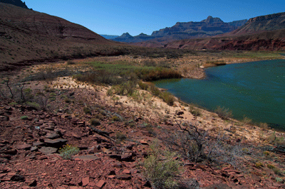 The area where Felix Lanteir may have operated a mine in Grand Canyon