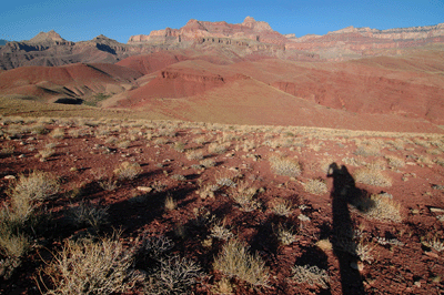 Early morning shadows along the Escalante route