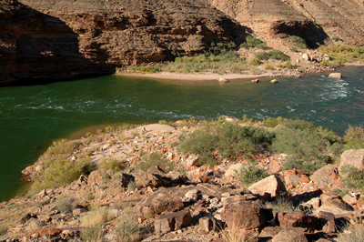 Our beach campsite 1/4 mile downstream from the confluence