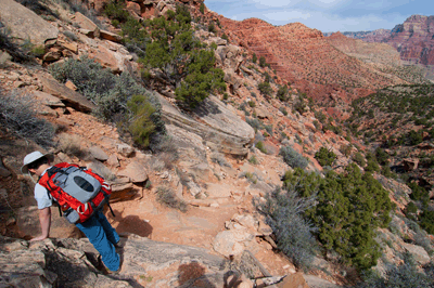 Descending Tanner trail