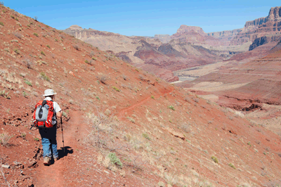 Approaching the Colorado River on Tanner trail