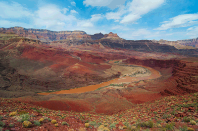 The Colorado River carves a winding path through Grand Canyon