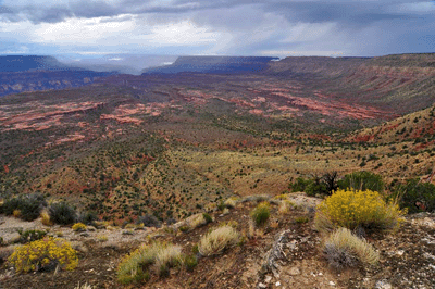 Looking west across the Esplanade toward Fishtail Mesa