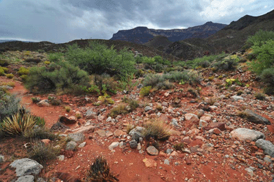 Bonita Creek drainage in Surprise Valley