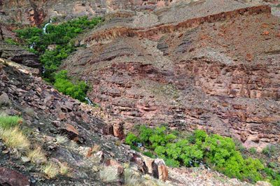 Thunder River in Grand Canyon