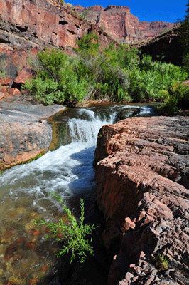 The mini Niagara of Tapeats Creek