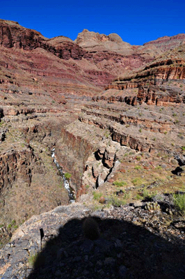 Looking upstream through the Tapeats Creek narrows