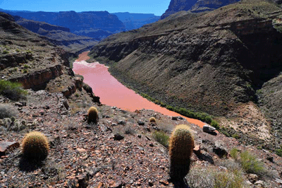 Looking upstream along the Colorado from the Stone Creek trail