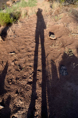 Self portrait in silhouette